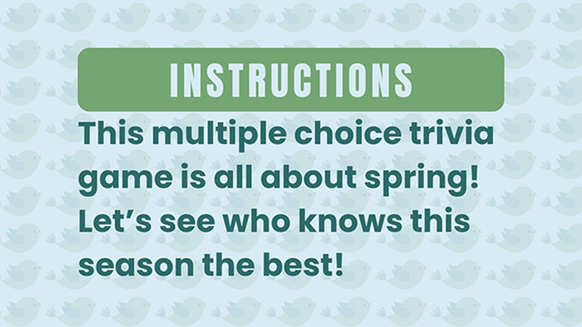 Spring Trivia image number null
